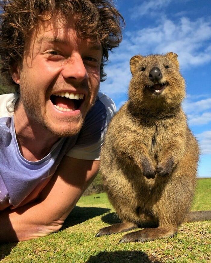 We Had Joy We Had Fun, We Had Quokkas In The Sun. Tag A Friend Who Has Never Seen A Smiling Bear