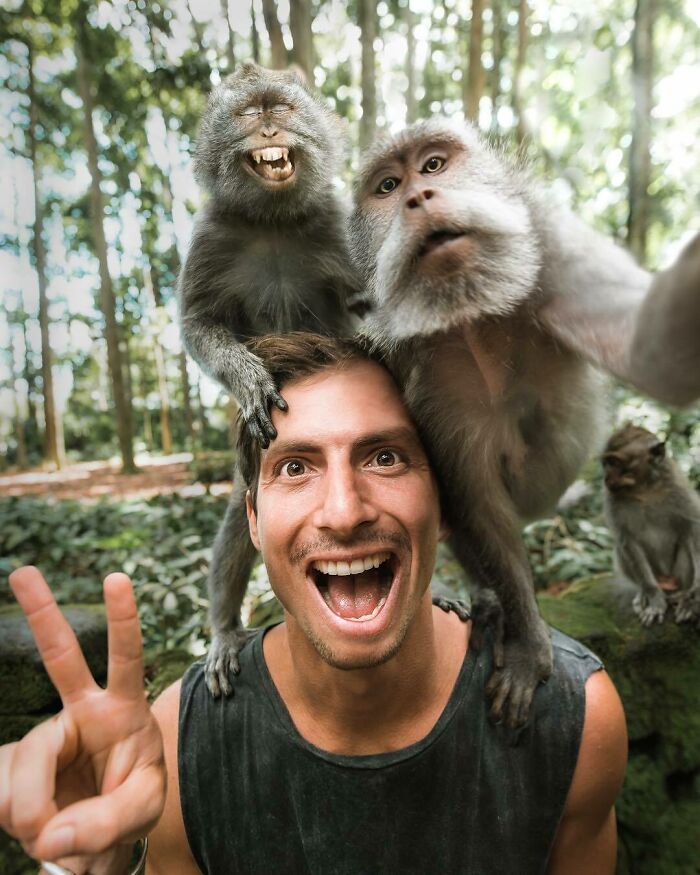 Seriously Fun Day In Bali Hanging With Some Monkeys