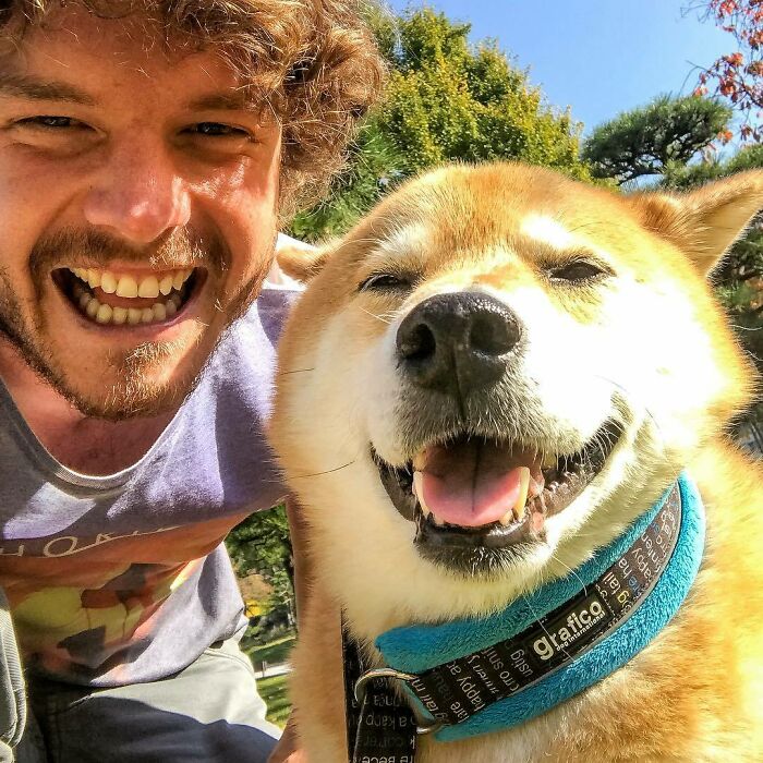 I’m Going To Japan In A Month To Help Shed Light On Rescuing Impounded Dogs. Who Would Have Known Capturing Animal Selfies Would Lead To Hopefully Saving Lives
