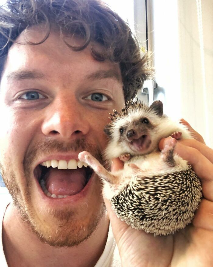 Relationships Are Like Holding A Hedgehog. The Roller Coaster Of Love