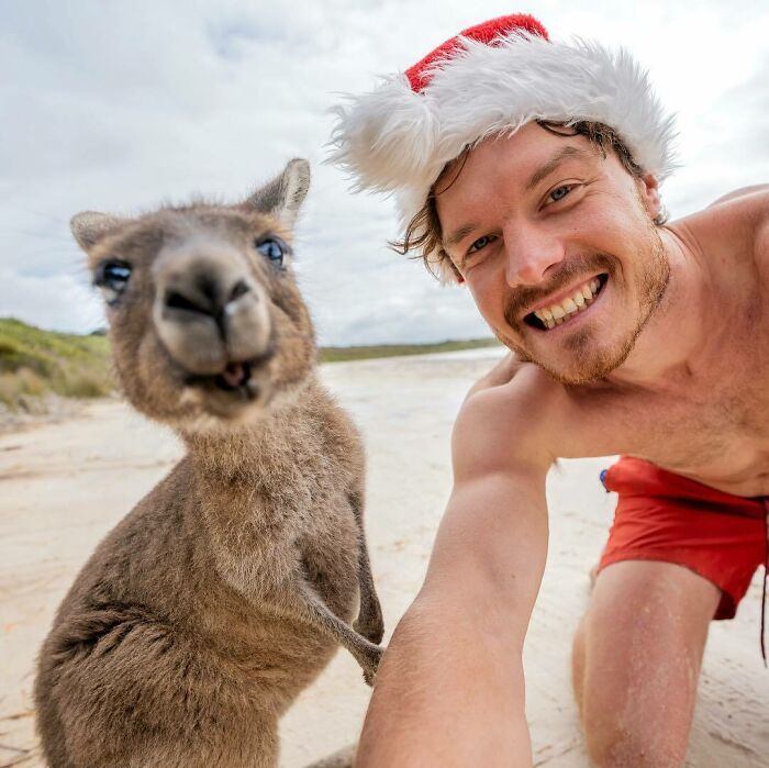 Kangaroos Wish You A Warm Beachy Sun Kissed Christmas