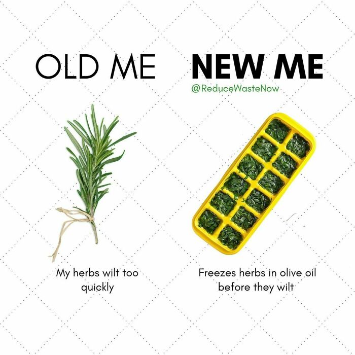 Follow @reducewastenow For Easy, Actionable Ways You Can Help The Environment!
would You Try This? 🤔
tag Someone Who’d Find This Useful!
this Is A Great Way To Prevent Wasting Your Herbs! 🌿
and If You Need Your Ice Tray Back, Simply Pop The Herbs Into A Container & Put Back Into The Freezer!
click The Link In Bio To Shop Sustainable Alternatives To Everyday Products!
#reducewastenow
#foodwaste #zerowaste #sustainability #nofoodwaste #foodie #zerofoodwaste #zerowasteliving #sustainable #food #sustainableliving #savefood #compost #vegan #zerowastefood #circulareconomy #lovefoodhatewaste #earth #bestbefore #recycle #ecofriendly #organic #environment #composting #sustainablefood #plasticfree #plantbased