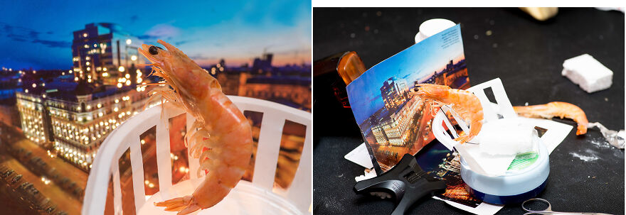 The "Dolce Vita" Of... The Shrimp The "Dolce Vita" Of... The Shrimp