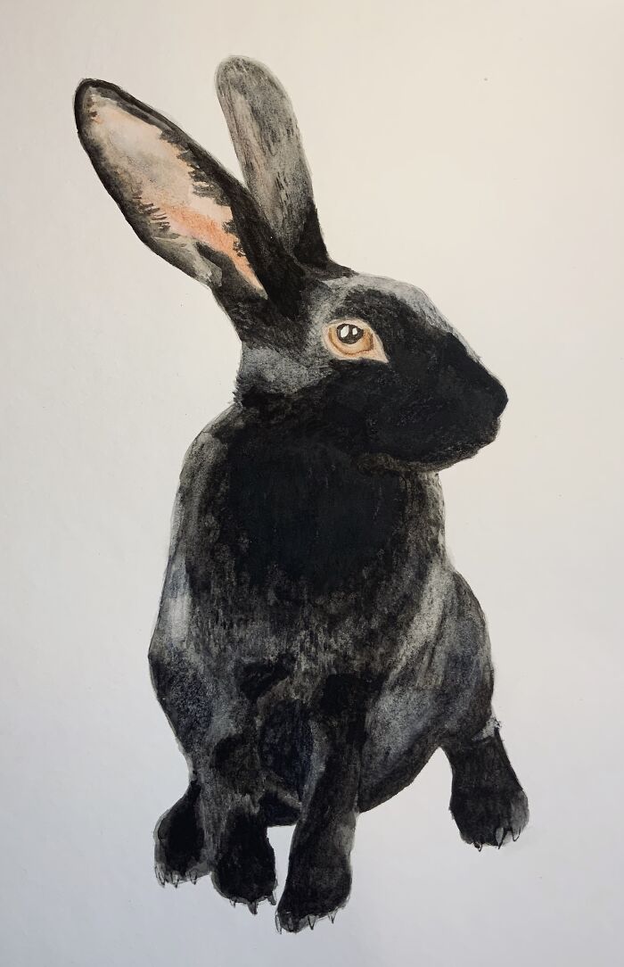 I Like This Rabbit I Painted 🙂