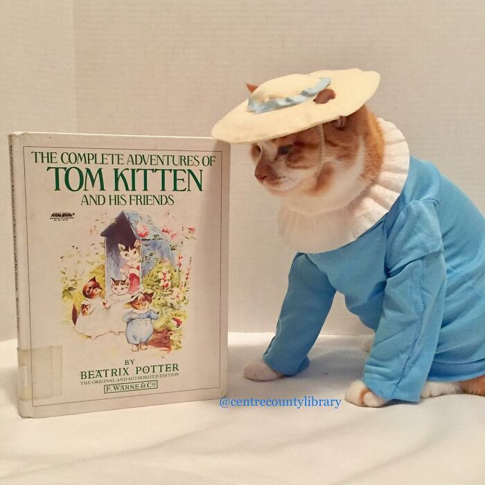 For 4 Years, Every Week, This Cat Becomes An Iconic Figure To Promote The Library (231 Pics)