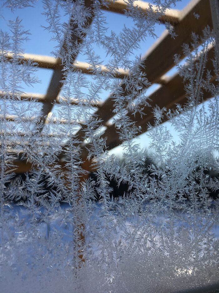 A Look Through An Icy Window