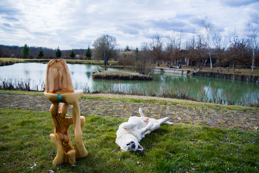 Inovative Furniture Design Or Artistic Masterpiece? These Artists Create Amazing Functional Sculptures Out Of Single Trunk By Chainsaw Carving!