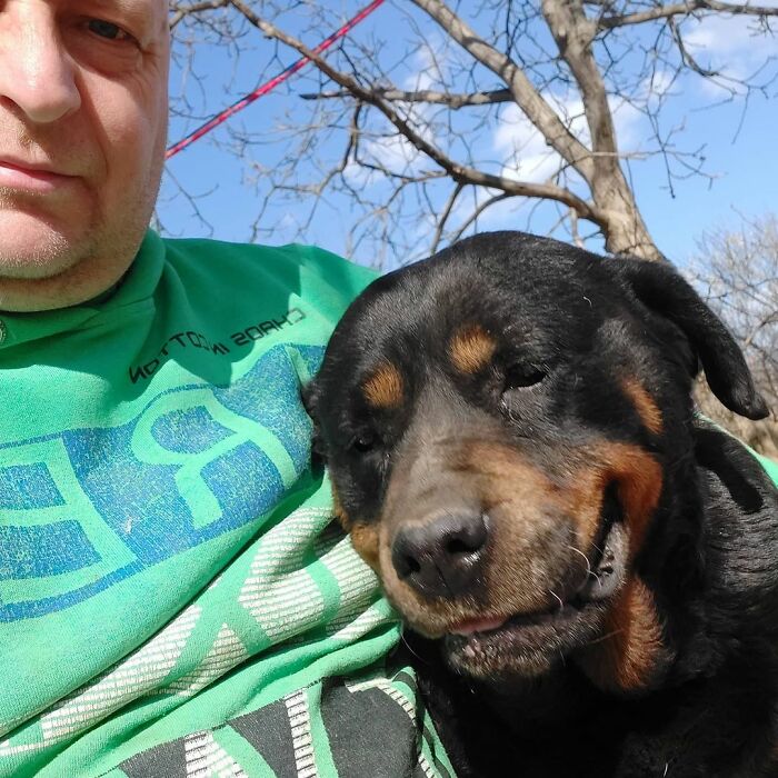 Meet Dejan Gacic, The Good Man Who Has A Shelter With Over A Thousand Dogs