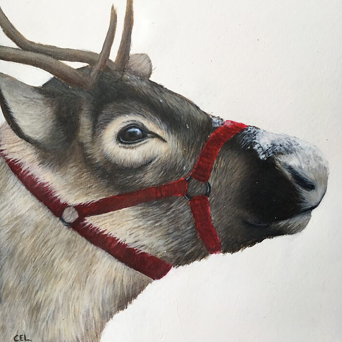 My 19 Year Old Daughter Paints Amazing Wildlife Paintings, Help
me Get Her Noticed!