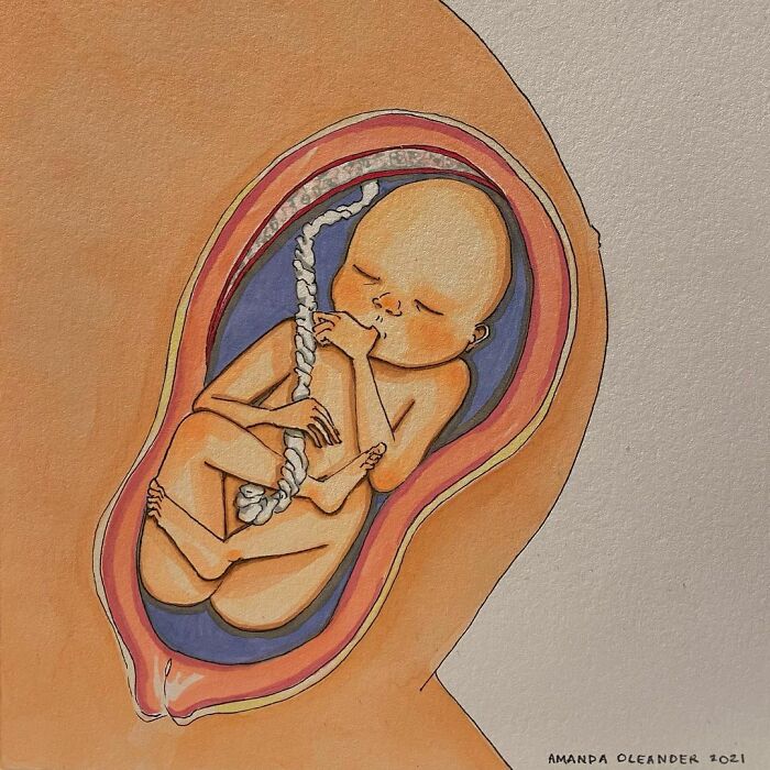 Esta artista crea ilustraciones reconfortantes pero honestas sobre el embarazo y el parto