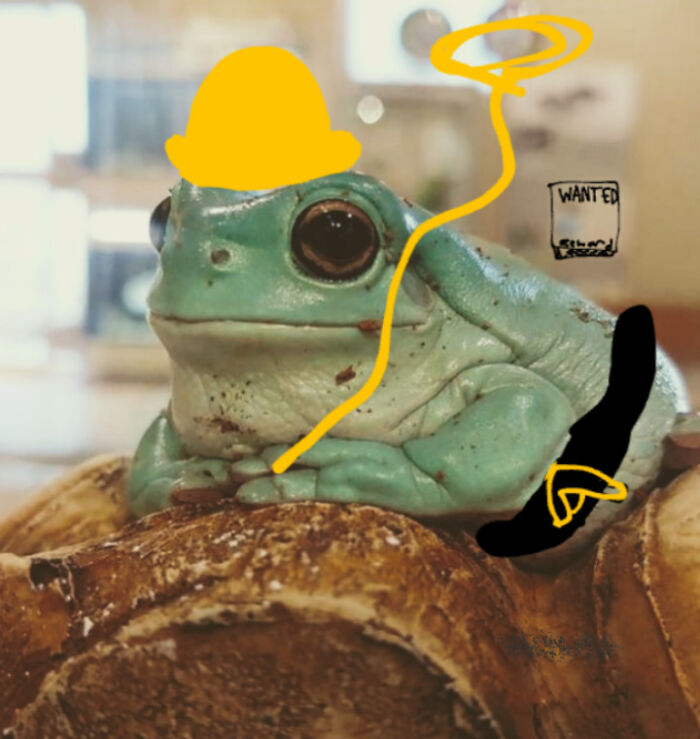 Cowboy Froggo (I Just Drew On It)