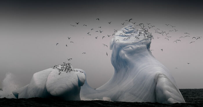 Naturaleza, mejor obra: “Isfjell” por Andreas Wolden