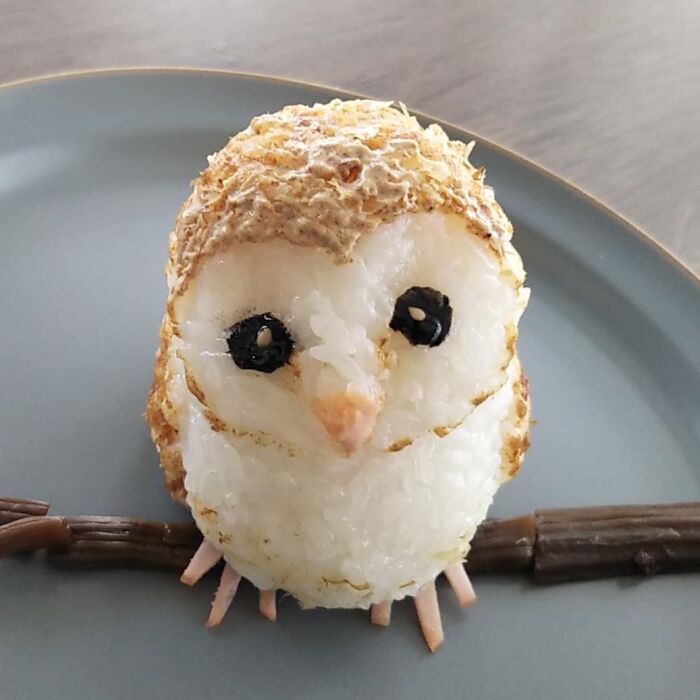 You Wouldn't Dare Eat These Rice Balls (New Pics)