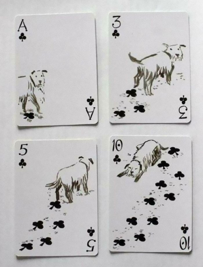 These Playing Cards