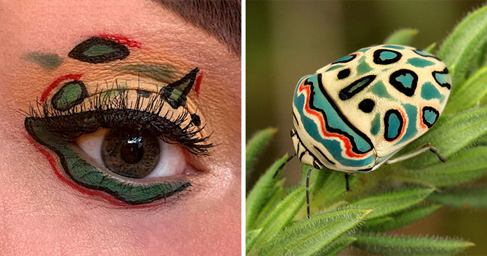 Esta artista mostró la belleza de los insectos con sus 20 estilos de maquillaje de ojos a juego