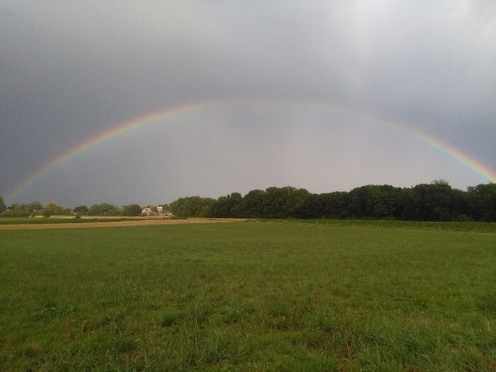 Perfect Rainbow In Belgium Field