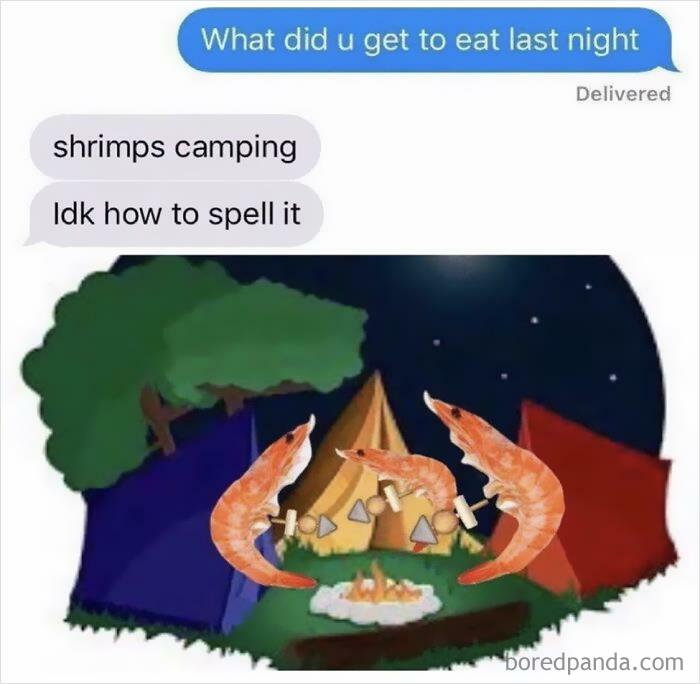 Shrimps Camping