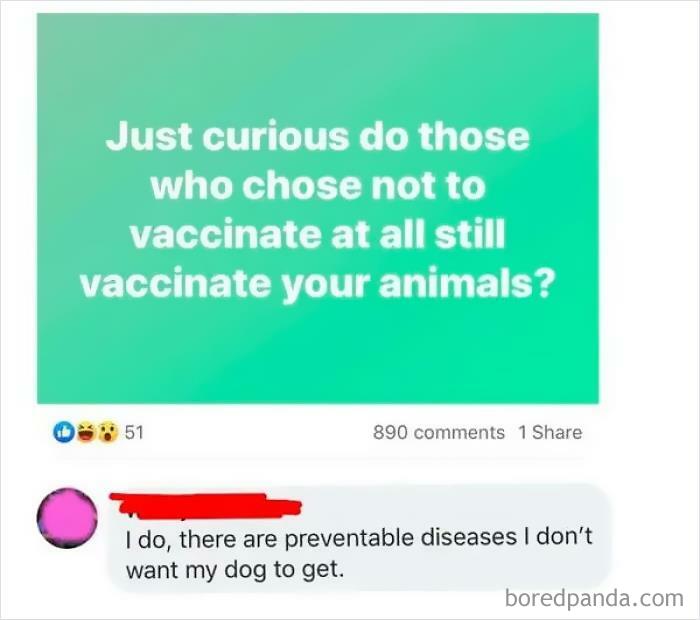 Vaccines Are For Dogs
