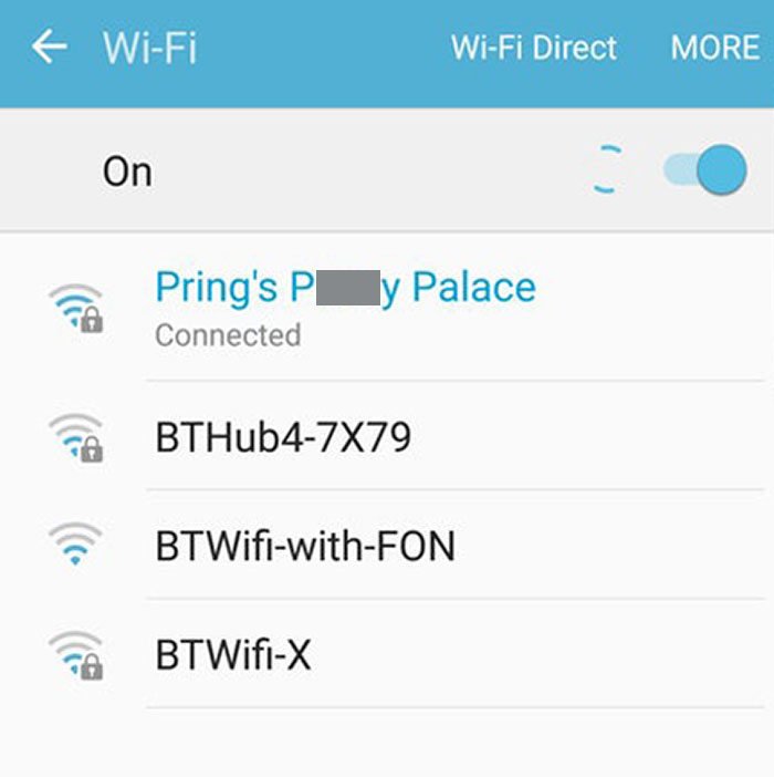 So My Cat-Crazy Mother Figured Out How To Change The WiFi Name Today, Now My Neighbours Must Think We're Running A Brothel. Great