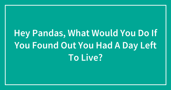 Hey Pandas, What Would You Do If You Found Out You Had A Day Left To Live? (Closed)
