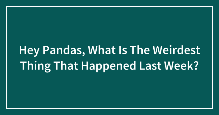 Hey Pandas, What Is The Weirdest Thing That Happened Last Week? (Closed)