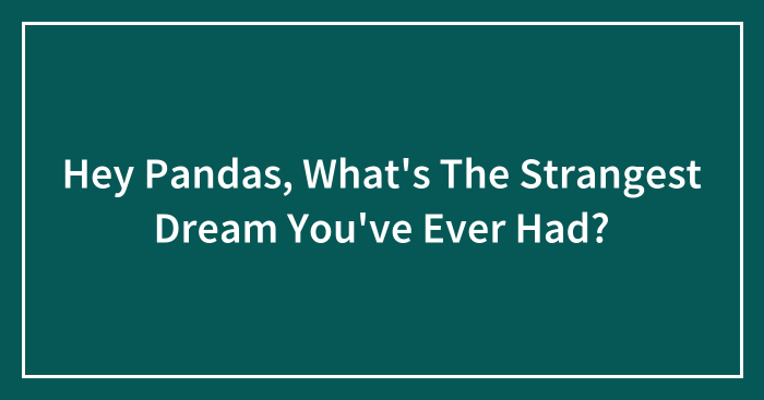 Hey Pandas, What’s The Strangest Dream You’ve Ever Had? (Closed)