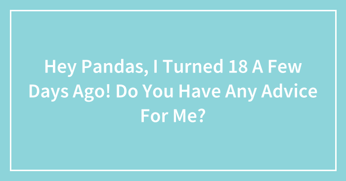 Hey Pandas, I Turned 18 A Few Days Ago! Do You Have Any Advice For Me?