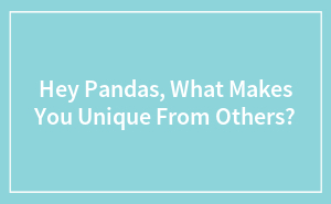 Hey Pandas, What Makes You Unique From Others?
