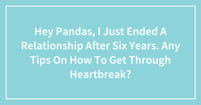 Hey Pandas, I Just Ended A Relationship After Six Years. Any Tips On How To Get Through Heartbreak? (Closed)