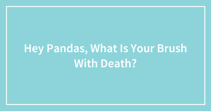 Hey Pandas, What Is Your Brush With Death? (Closed)