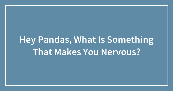 Hey Pandas, What Is Something That Makes You Nervous? (Closed)
