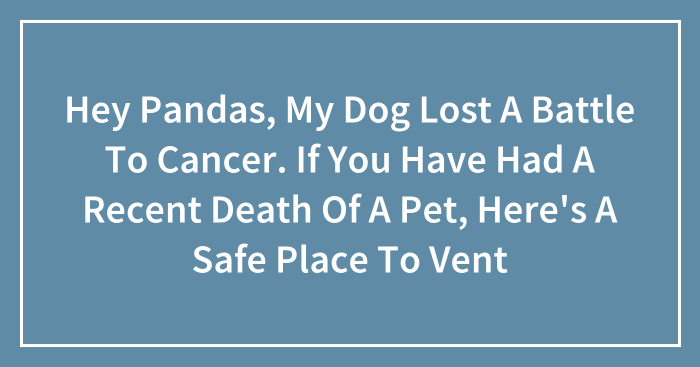 Hey Pandas, My Dog Lost A Battle To Cancer. If You Have Had A Recent Death Of A Pet, Here’s A Safe Place To Vent (Closed)