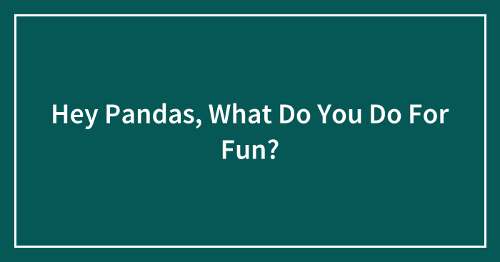 Hey Pandas, What Do You Do For Fun? (Closed)
