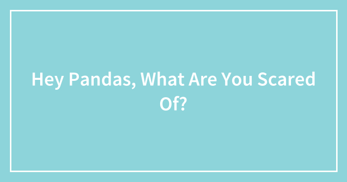 Hey Pandas, What Are You Scared Of? (Closed)