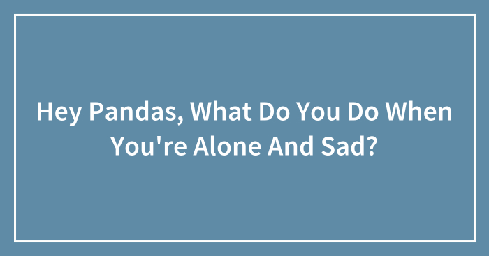 Hey Pandas, What Do You Do When You’re Alone And Sad? (Closed)