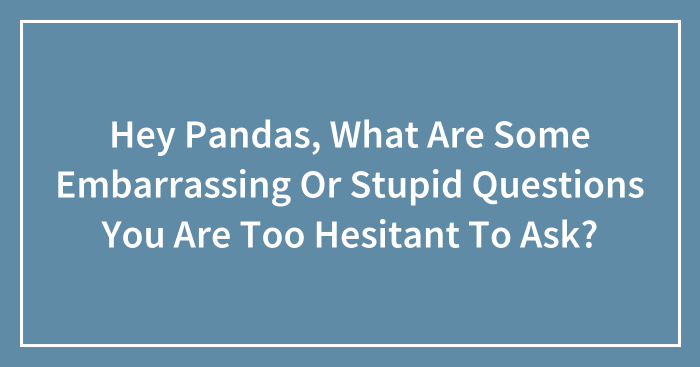 Hey Pandas, What Are Some Embarrassing Or Stupid Questions You Are Too Hesitant To Ask? (Closed)