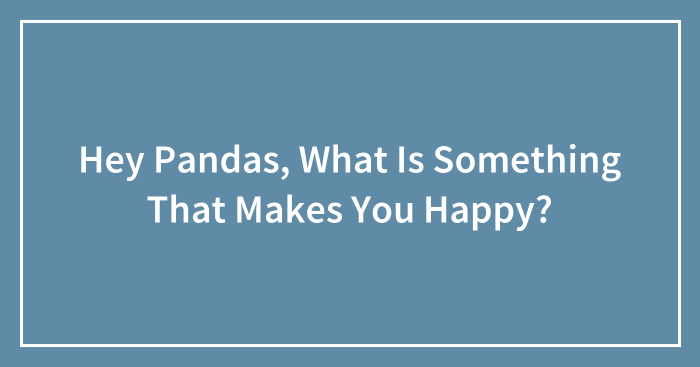 Hey Pandas, What Is Something That Makes You Happy? (Closed)