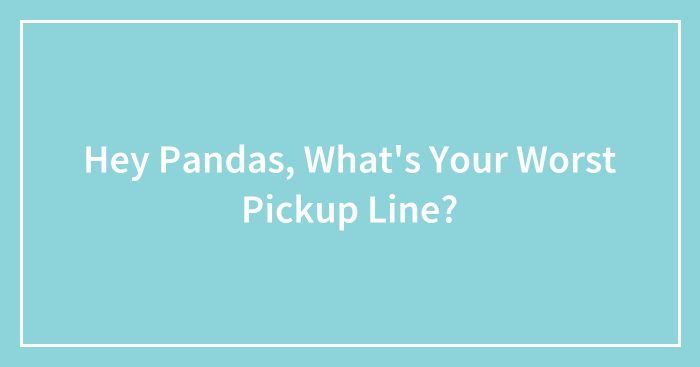 Hey Pandas, What’s Your Worst Pickup Line? (Closed)
