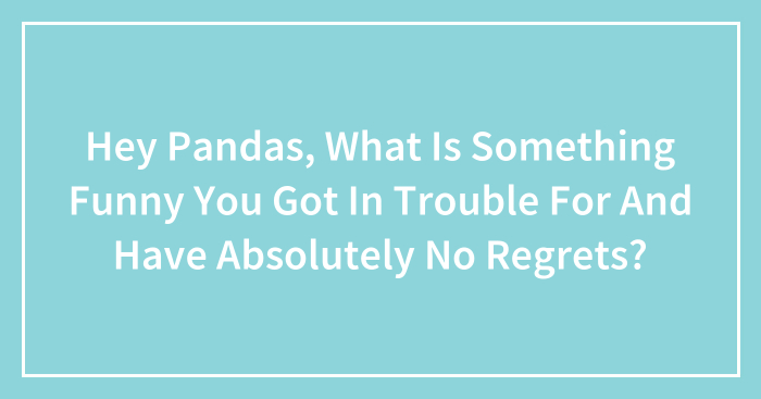 Hey Pandas, What Is Something Funny You Got In Trouble For And Have Absolutely No Regrets?