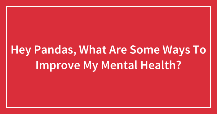 Hey Pandas, What Are Some Ways To Improve My Mental Health? (Closed)
