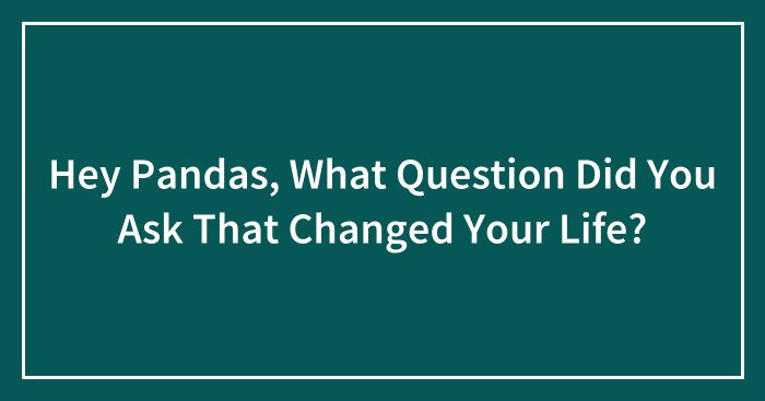 Hey Pandas, What Question Did You Ask That Changed Your Life? (Closed)