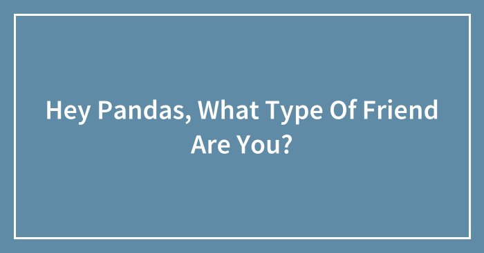 Hey Pandas, What Type Of Friend Are You? (Closed)