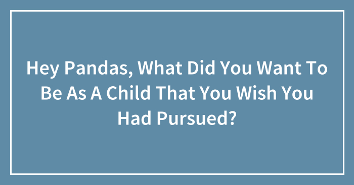 Hey Pandas, What Did You Want To Be As A Child That You Wish You Had Pursued?