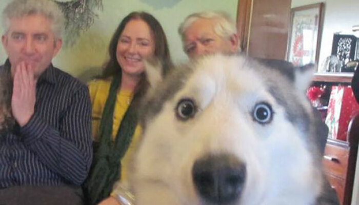 Hey Pandas, Show Me The Funniest Photobomb Your Pet Has Caused (Closed)