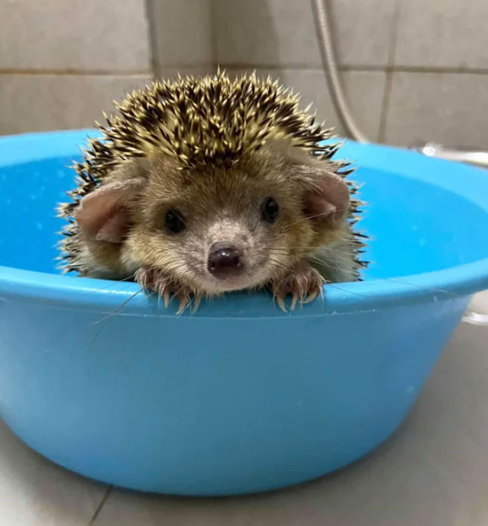 Time To Get Out Of The Tub