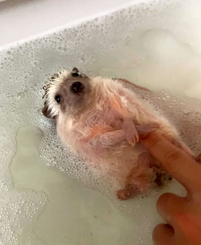 Hiro Loves His Bubble Baths