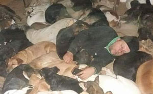Serbian Man Keeps Rescuing Hundreds Of Dogs As A Passion Project Started By His Late Mother Over 20 Years Ago