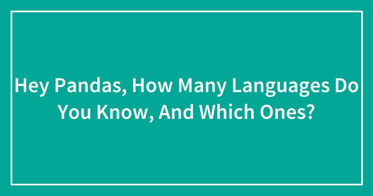 Hey Pandas, How Many Languages Do You Know, And Which Ones? Bored Panda