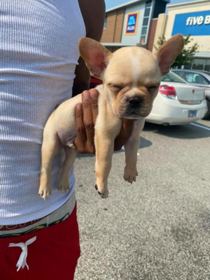 Met Bentley Leaving Marshalls And He Was Too Tired For Photos