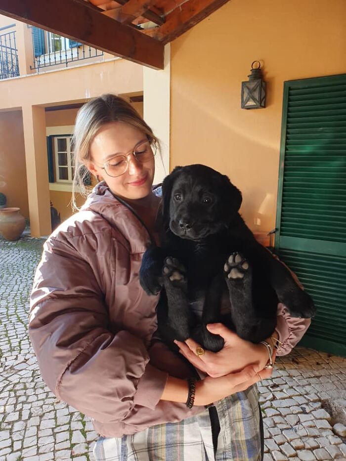 3 Month Lab Spotted In Portugal